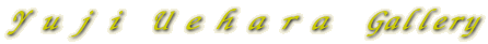 Ｙｕｊｉ Ｕｅｈａｒａ  Gallery